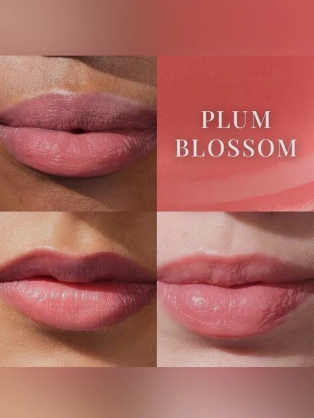 Tatcha The Kissu Lip Tint - Plum Blossom